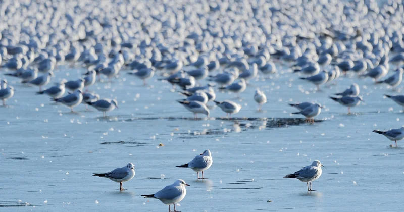 Le premier critère : votre écosystème actuel, et non les performances pures