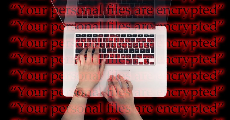 Vol de données personnelles : que faire dans les premières 24 heures